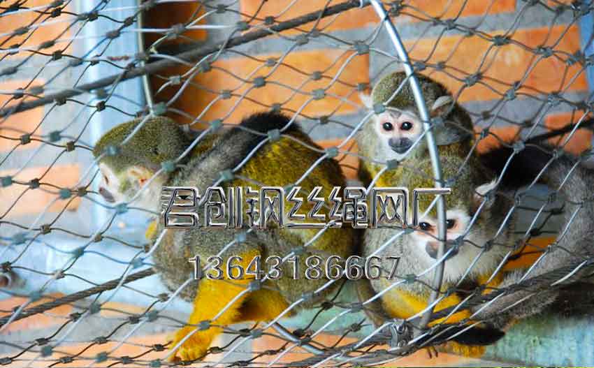 猴子圍欄鋼絲繩網